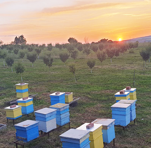 Пчеларска ферма Нани